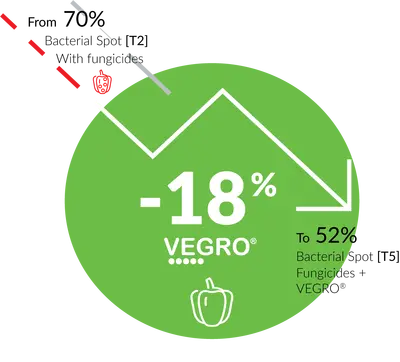[T1] is the Grower Std., [T3] Vegro added simply to Grow. Std. and [T5] Grow Std + Fungicides + Vegro