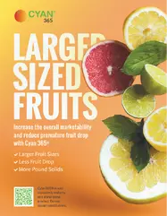 LARGER FRUIT SIZES WITH CYAN 365®
