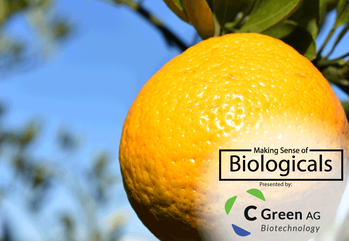 Crop Optimization With Seaweed - March 31 2021