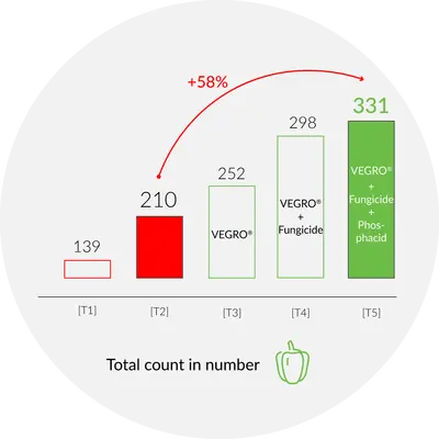 [T1] Ctrl, [T3] Vegro with no fungicides and [T5] Vegro+Fungicides