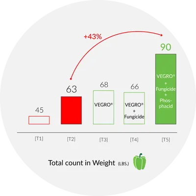 [T1] Ctrl, [T3] Vegro with no fungicides and [T5] Vegro+Fungicides