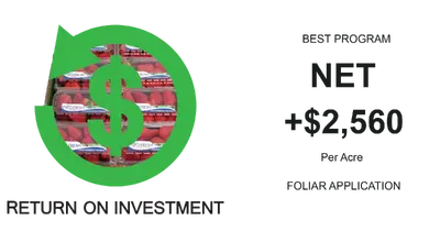 Notes: NET means cost of the program for Vegro® deducted.