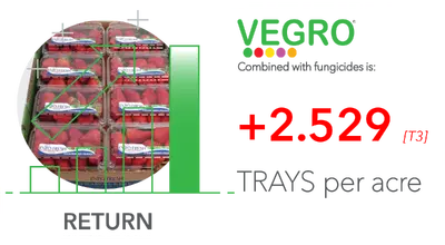 Notes: NET means cost of the program for Vegro® deducted.