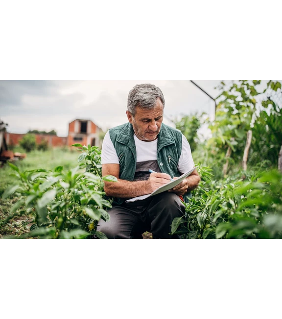 a scientist writes down plant observations