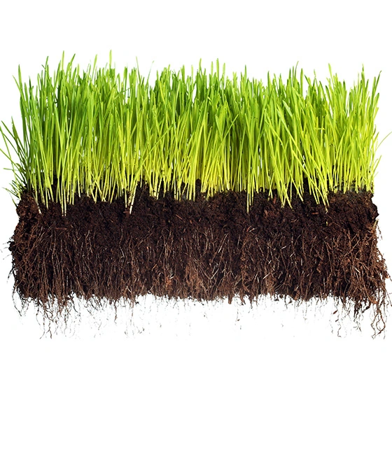A laboratory flask of green fluid next to an unearthed patch of grass and grass clippings
